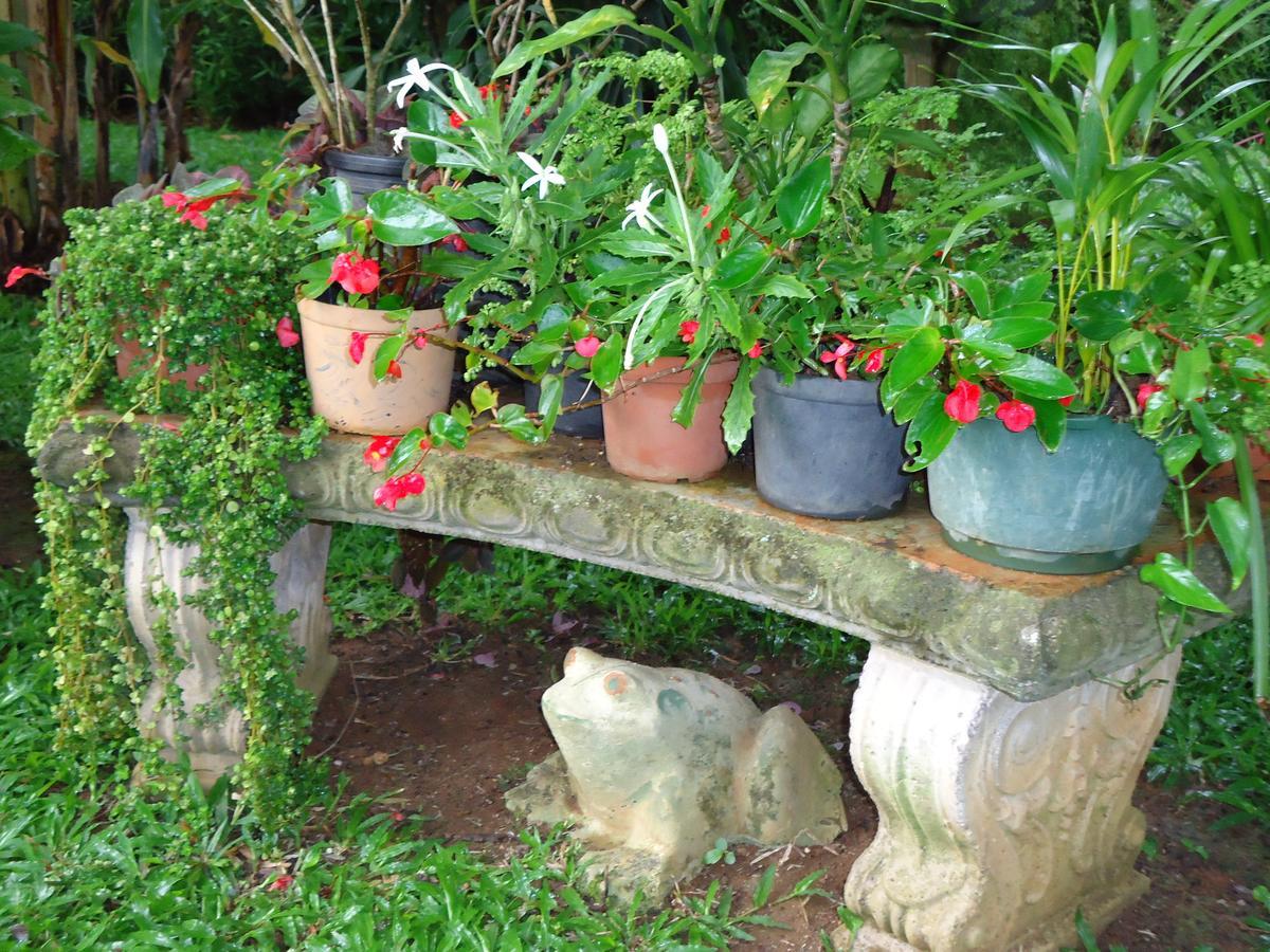 Bed and Breakfast Quinta Don Fernando La Garita  Esterno foto